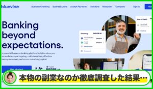 Bluevineは本物のサイトなのか？<b><span class="sc_marker">疑問を実際に登録して調査・検証した結果…</span></b>